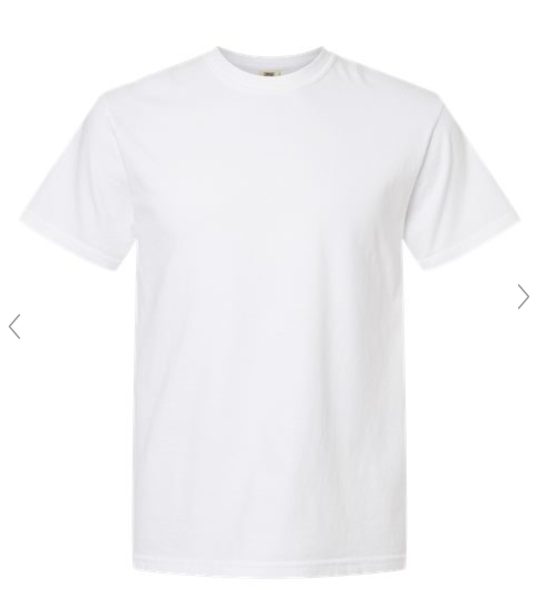 Adult Comfort Colors Destroyer Shirt