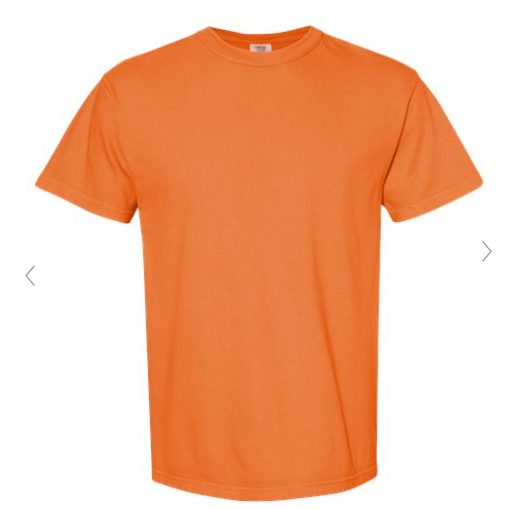 Adult Comfort Colors Destroyer Shirt